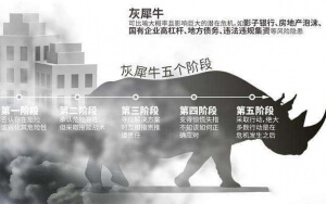 小心，中國產(chǎn)業(yè)園區(qū)的“灰犀牛”又來了！